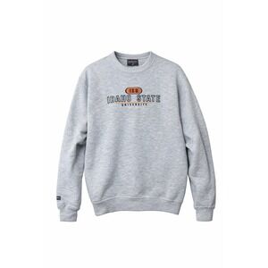 Jansport Idaho State University Sweatshirt Men's Medium Gray Crewneck ISU Y2K